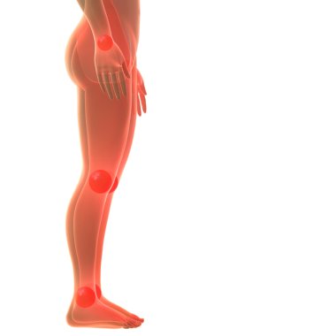 Do you have pain and rheumatism in your joints?