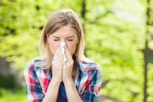Probiotic bacteria may help alleviate allergy symptoms
