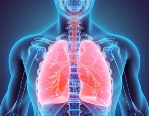 Vitamin A supports the lungs’ immune defense against tuberculosis