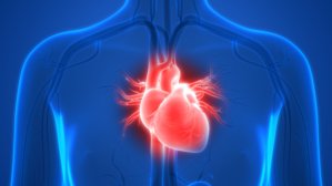 Magnesium kan förebygga hjärtsvikt