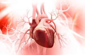 Vitamin E and Q10 can prevent muscle damage after a heart attack 