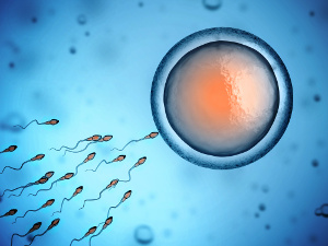 Antioxidantien und ihre Rolle bei der Spermienqualität