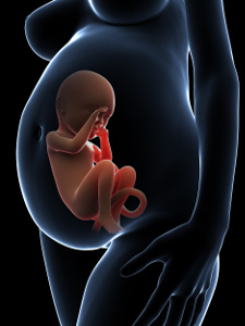 Gravide behøver selen til udvikling af barnets hjerne