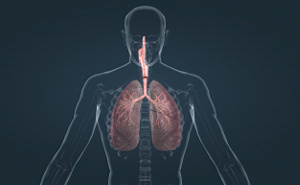 Hohe Dosen von Vitamin C verbessern die Lungenfunktion bei Patienten mit COPD