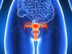 Selenium’s effect on chemotherapy and radiation therapy in connection with cervical cancer