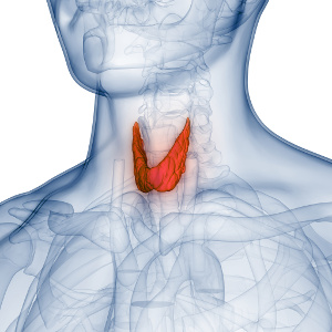 Hypothyroidism can be helped with selenium
