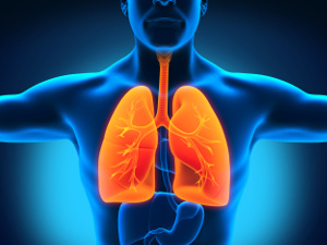 Oily fish and fish oil supplements benefit the health of your lungs