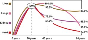 Figuren visar hur innehållet av Q10 minskar med åldern i olika organ