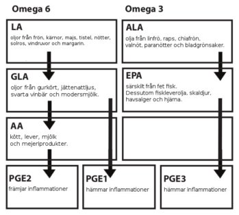 Följande översikt visar mycket förenklat hur omega-6- och omega-3-fettsyrorna med hjälp av enzymer omvandlas till de olika prostaglandinerna PGE1, PGE2 och PGE3.
